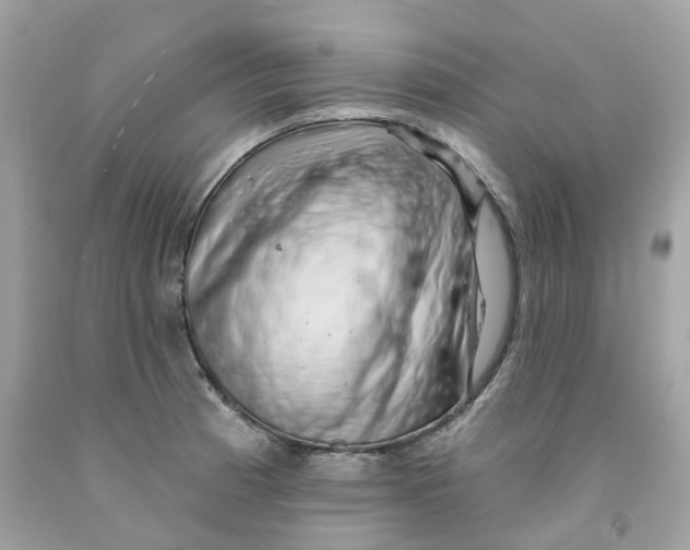 X0000091471185200709061812