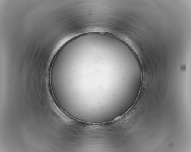 X0000091471187200709061812