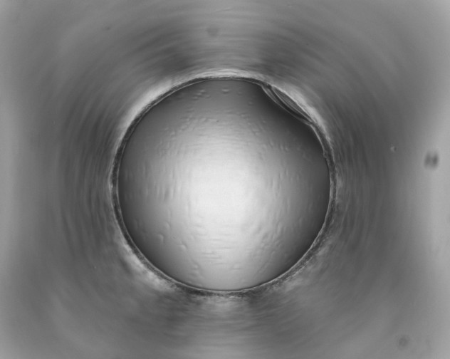 X0000091471189200709061812