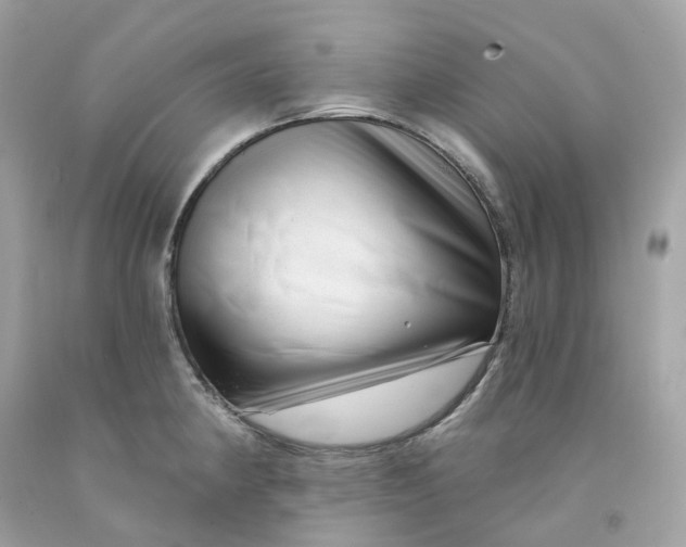 X0000091471190200709061812