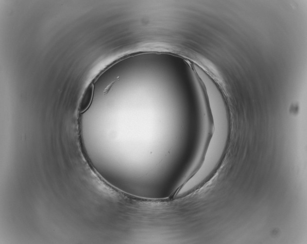 X0000091471192200709061812