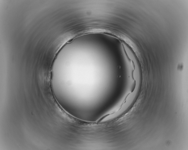 X0000091471193200709061812