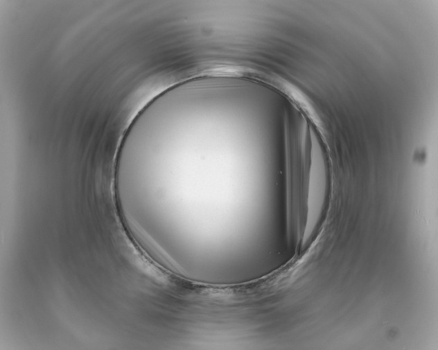 X0000091471194200709061812