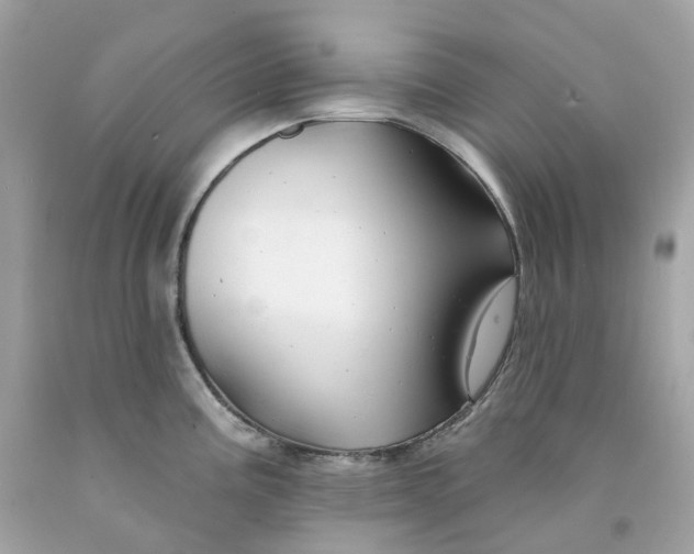 X0000091471195200709061812