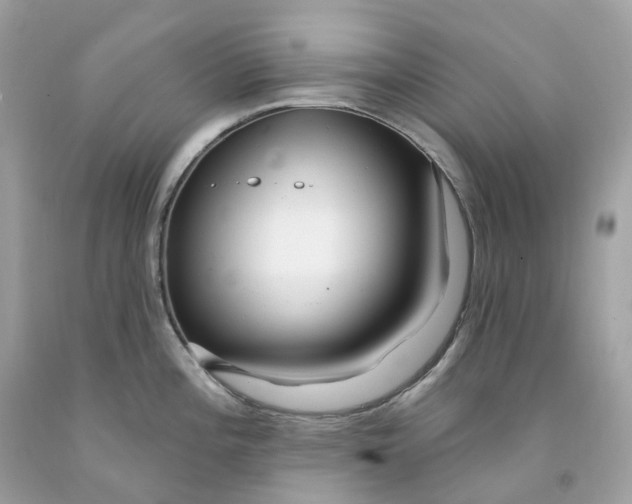 X0000091471196200709061812