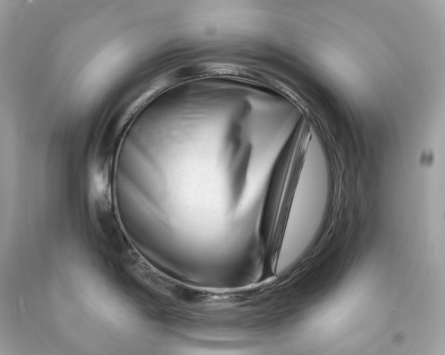 X0000091471198200709061812