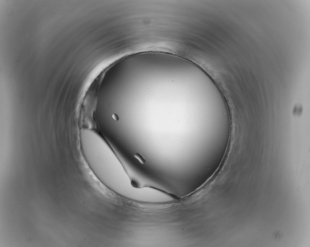 X0000091471200200709061811