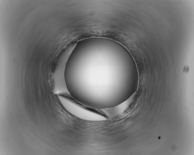 X0000091471202200709061811