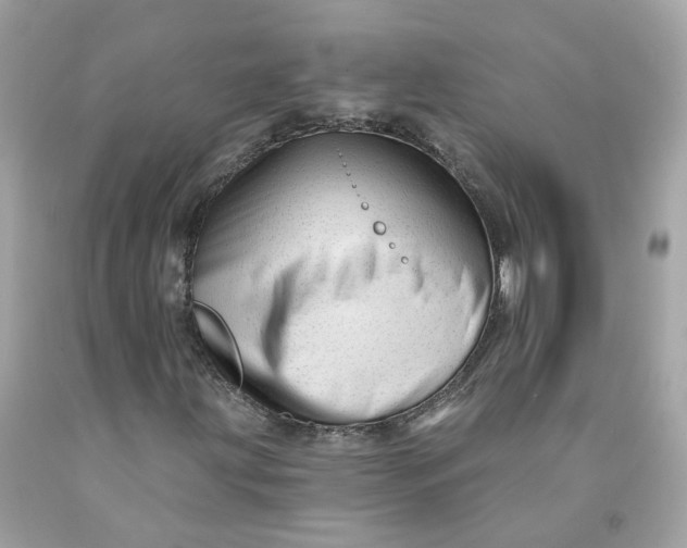 X0000091471203200709061811