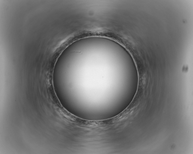 X0000091471205200709061811