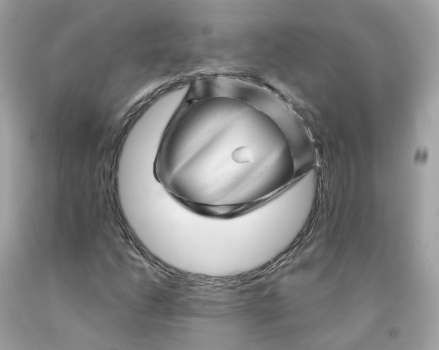 X0000091471206200709061811