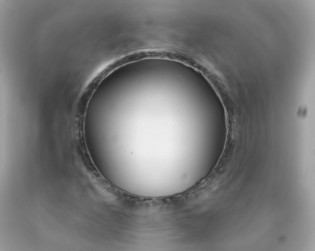 X0000091471208200709061811