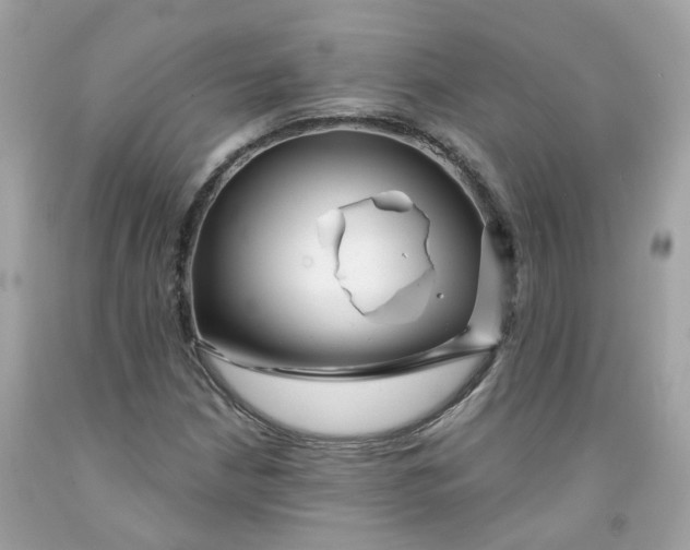 X0000091471210200709061811