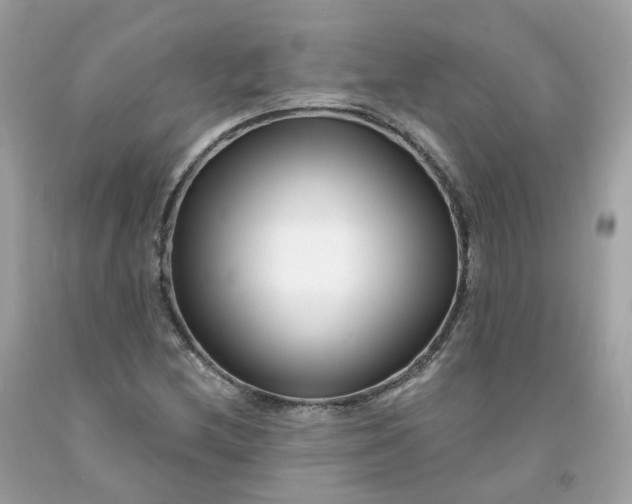 X0000091471212200709061811