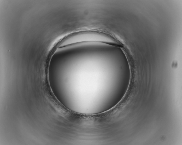 X0000091471214200709061811