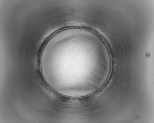 X0000091471215200709061811