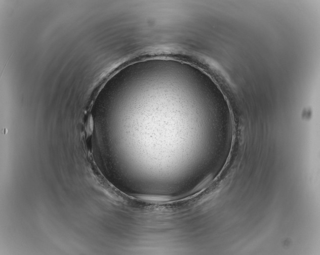 X0000091471217200709061811