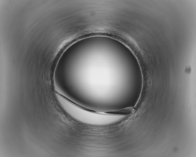 X0000091471218200709061811