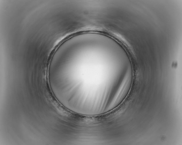 X0000091471220200709061811