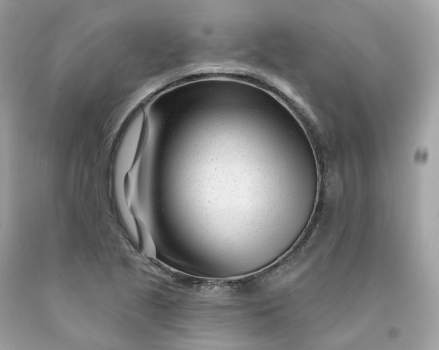 X0000091471221200709061811