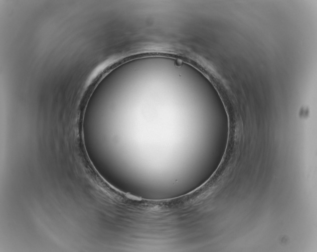 X0000091471222200709061811