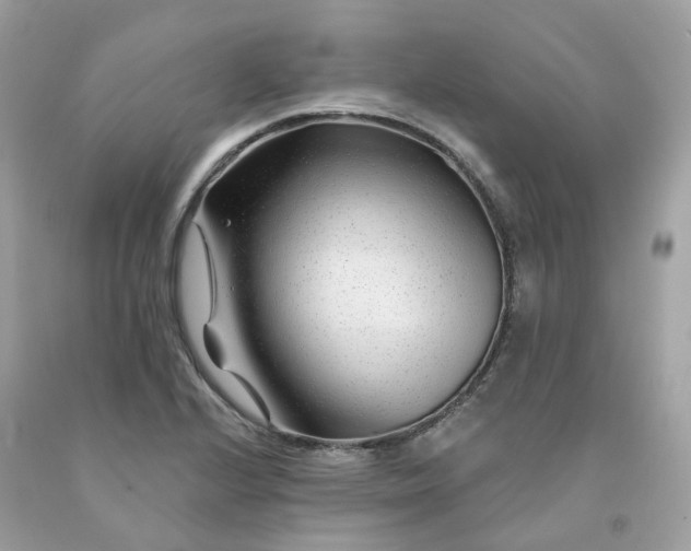 X0000091471224200709061811