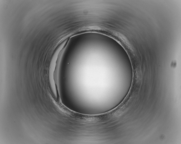 X0000091471225200709061811