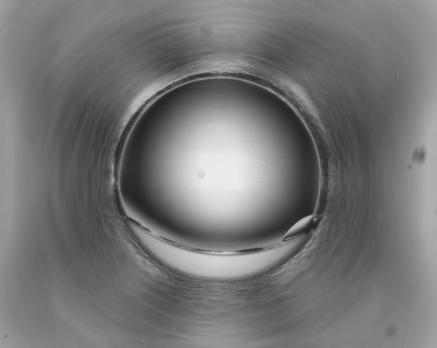 X0000091471226200709061811