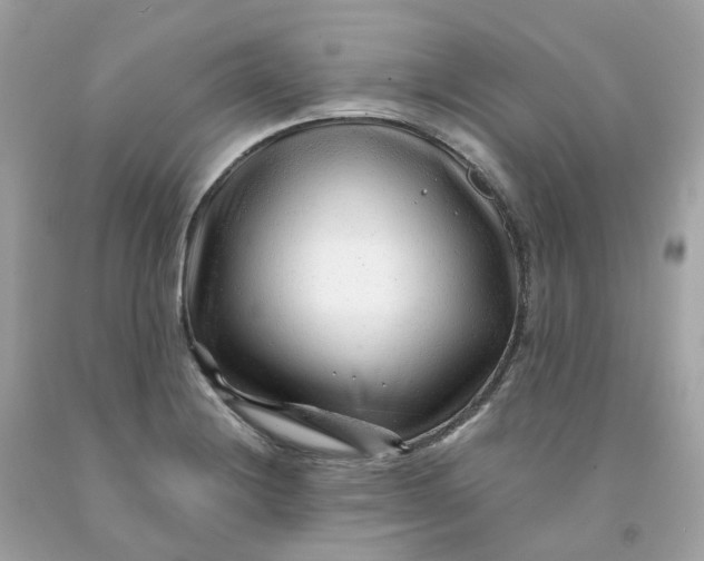 X0000091471228200709061811