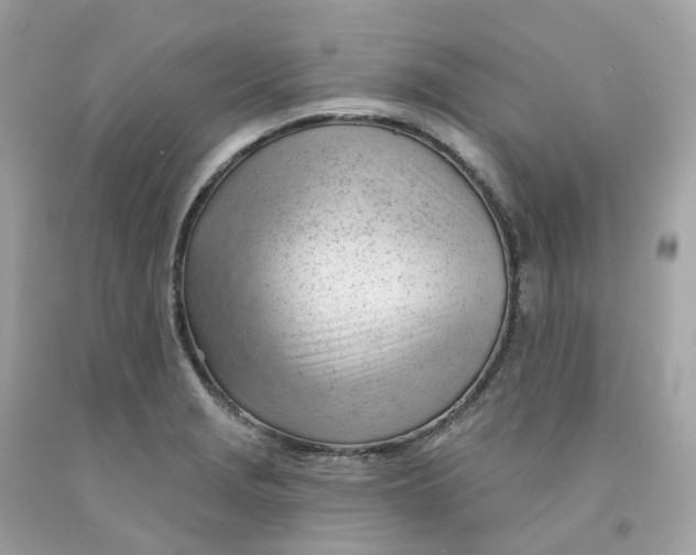 X0000091471229200709061811