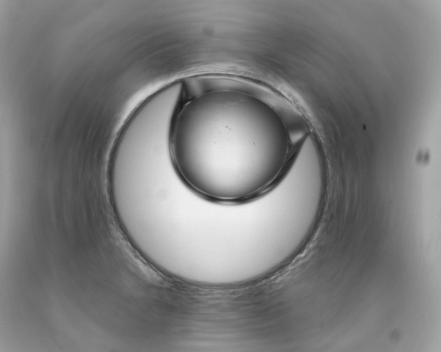 X0000091471230200709061811