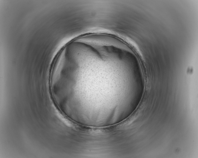 X0000091471231200709061811