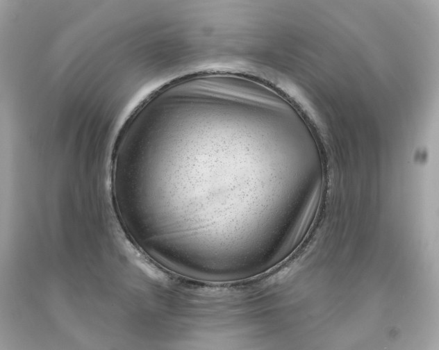 X0000091471232200709061811