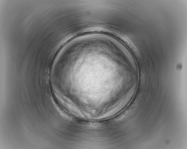 X0000091471233200709061811