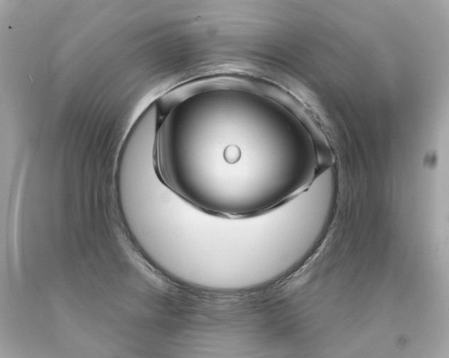 X0000091471234200709061811