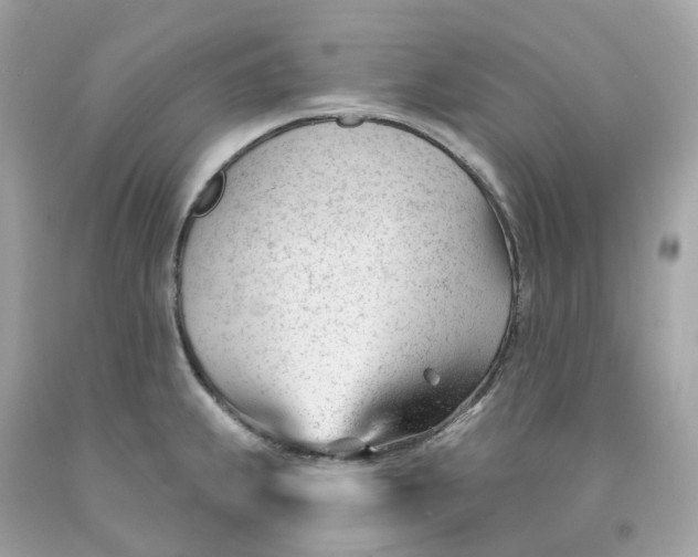 X0000091471239200709061811