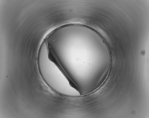 X0000091471240200709061811