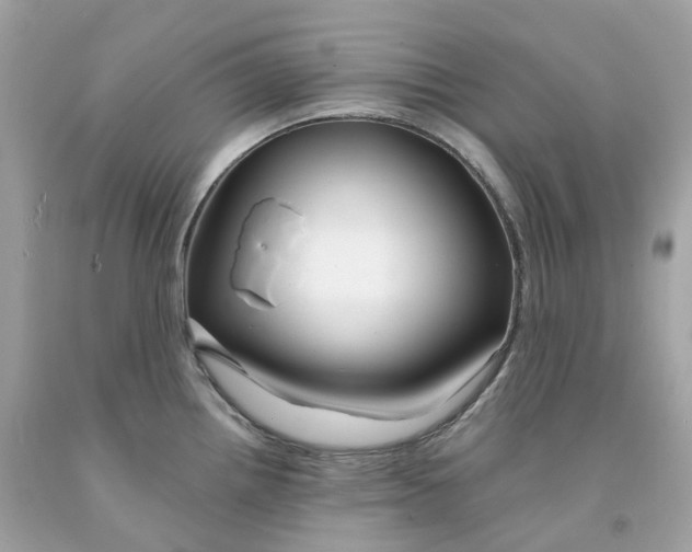 X0000091471242200709061811