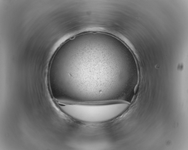 X0000091471245200709061811