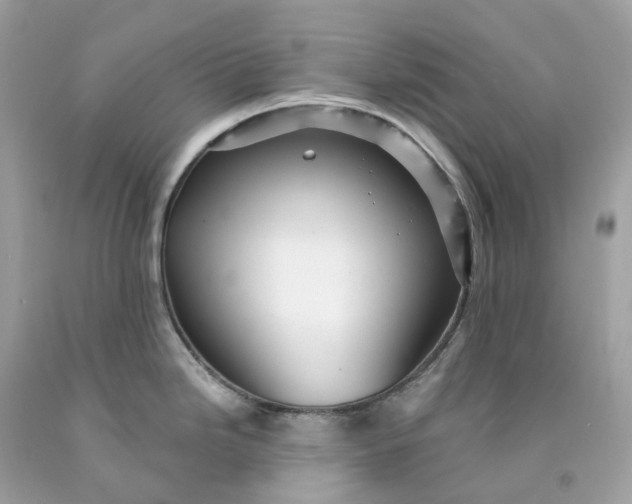 X0000091471246200709061811