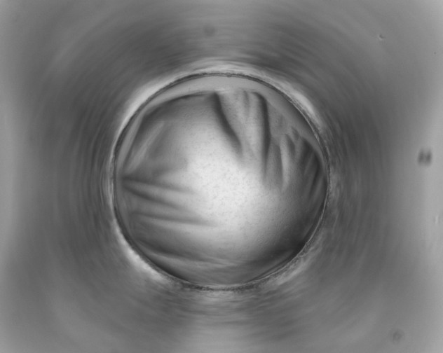 X0000091471247200709061811