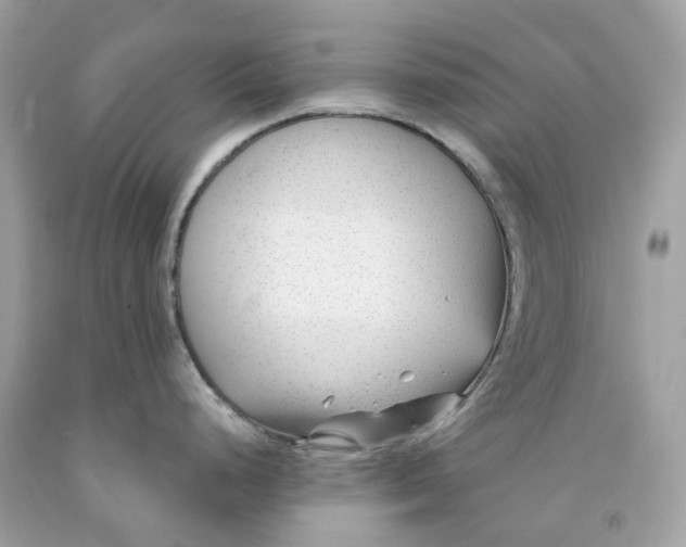 X0000091471248200709061811