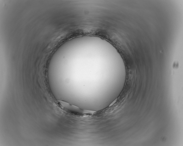 X0000091471249200709061811