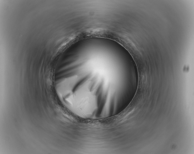 X0000091471250200709061811