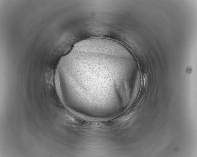 X0000091471251200709061811