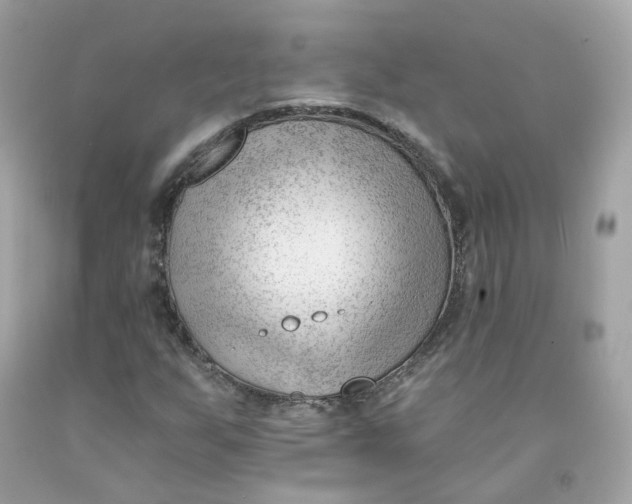 X0000091471255200709061811