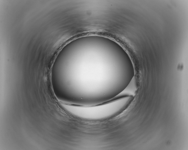 X0000091471257200709061811