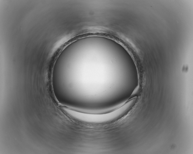 X0000091471261200709061811