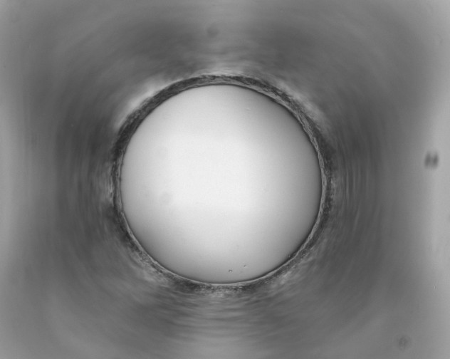 X0000091471262200709061811