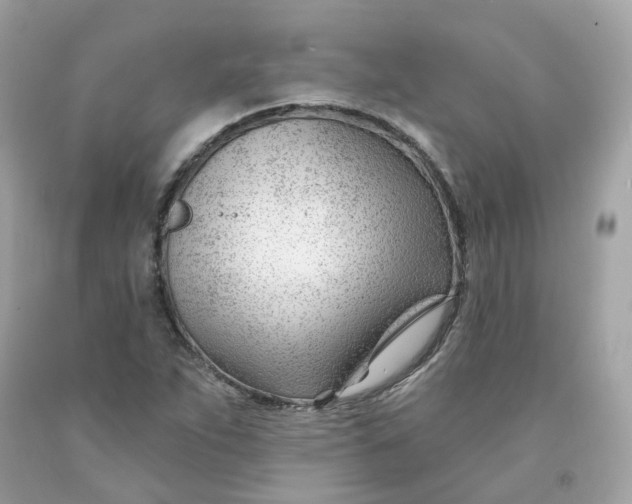 X0000091471263200709061811